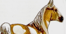 Арейон - божественный конь
